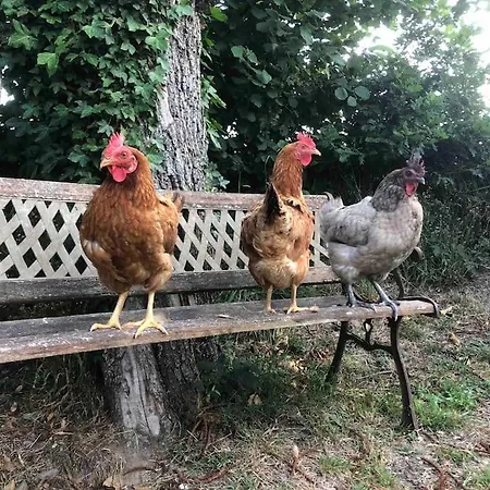 Σπίτι διακοπών Daisy With Seasonal Swimming Pool