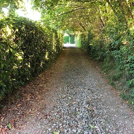 Daisy With Seasonal Swimming Pool * Le Mesnil-Gilbert