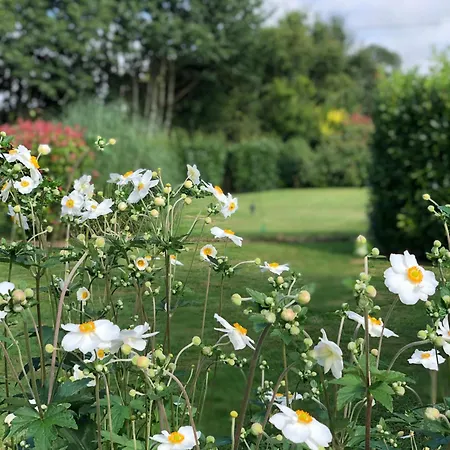 Σπίτι διακοπών Daisy With Seasonal Swimming Pool Le Mesnil-Gilbert
