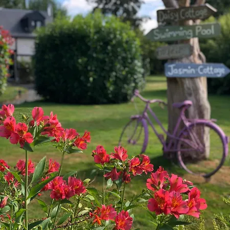 Daisy With Seasonal Swimming Pool Σπίτι διακοπών *
