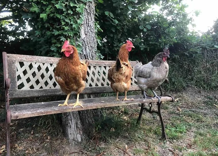 Сasa de vacaciones Daisy With Seasonal Swimming Pool