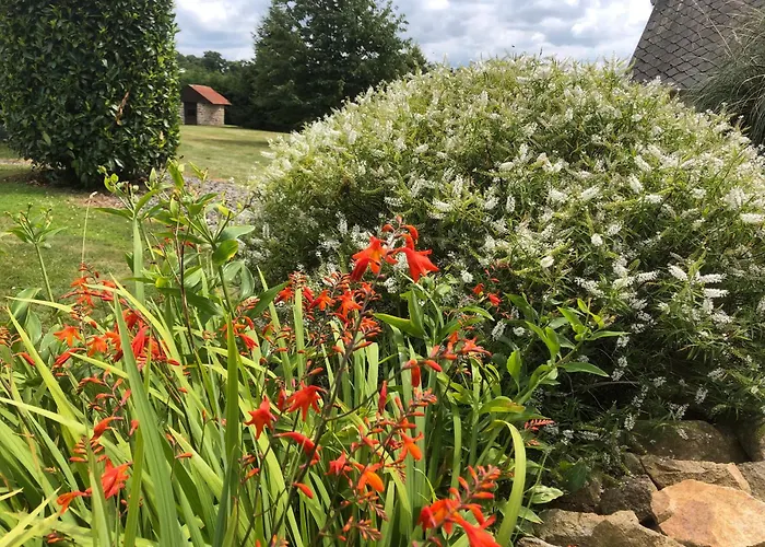 度假居 Daisy With Seasonal Swimming Pool *