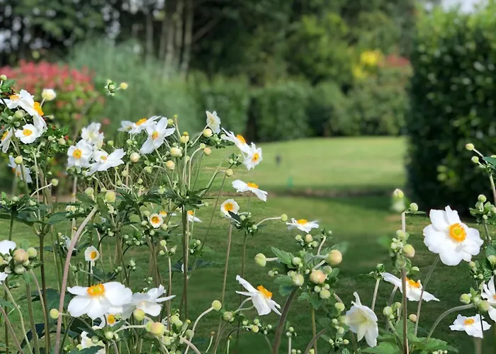 Сasa de vacaciones Daisy With Seasonal Swimming Pool Le Mesnil-Gilbert